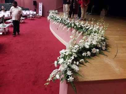 زهور شالينا - عجمان - +971 50 677 4272