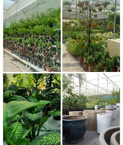 Buyforgarden - دبي - +971 58 870 1342