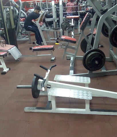 GOLDEN LION GYM - دبي - +971 50 979 9336
