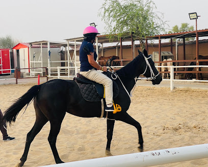 اسطبلات SQ7 - دبي - +971 50 452 2440