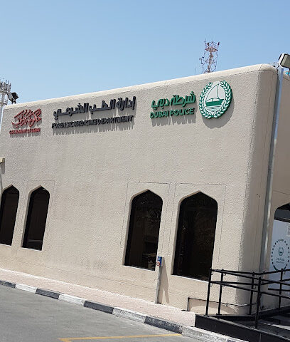 المركز الصحي لشرطة دبي - دبي - +971 4 699 3800