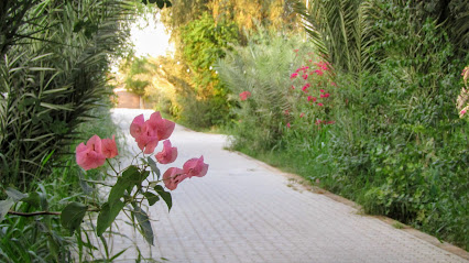 متعة المزرعة - عجمان - +971 56 978 7878