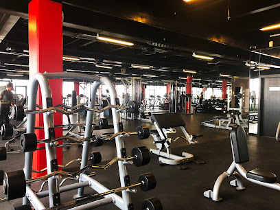 مترو فيت - دبي - +971 52 300 3547