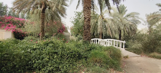 وادي الذيد الشمالي - دبي -