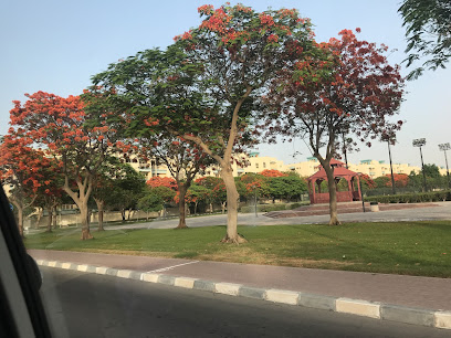 ملعب الرويس لكرة القدم - عجمان -