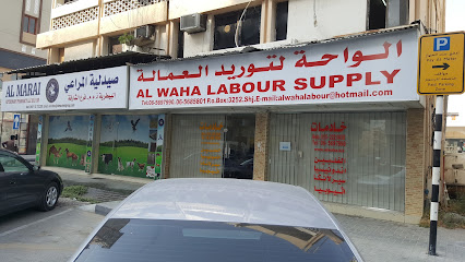 الواحة لتوريد العمالة - عجمان - +971 55 222 0498