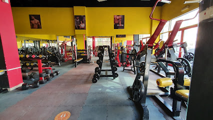فتنس ماجيك كمال الاجسام - دبي - +971 56 807 3502