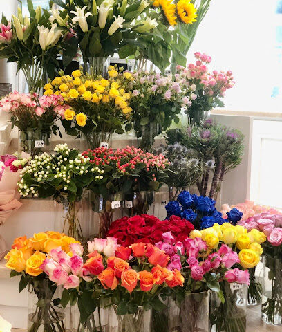 لا روزست روز - عجمان - +971 50 336 3680
