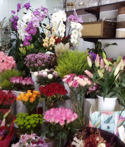 زهور عدن - عجمان - +971 4 336 4936