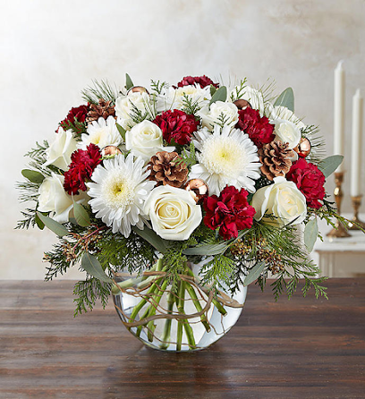 Flowershop.ae - عجمان - +971 4 252 6555