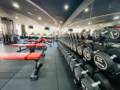 مصنع مسل أبوظبي - دبي - +971 56 654 2447