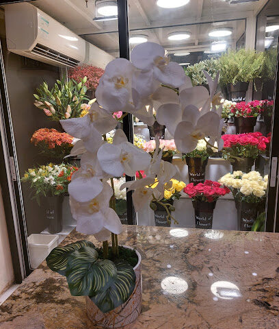 محل زهور الريف - عجمان - +971 50 974 4885