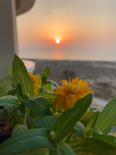 الحمرا لتجميل الحدائق - United Arab Emirates|Al Dhait South - Ras al Khaimah