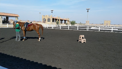 نادي الحليفي للفروسية نادي الحليفي للفروسية - عجمان - +971 7 244 8966