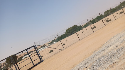 مزرعة سلطان بن حميد - عجمان -