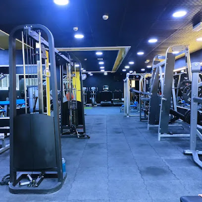 نادي السعف لبناء الأجسام - دبي - +971 52 309 9103