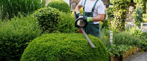 بابار لصيانة الحدائق - دبي - +971 50 650 3662