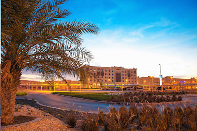 فندق ومول ايلا بوادي - دبي - +971 3 703 0111