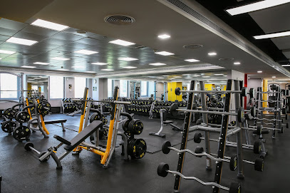 قرية الأعمال متروفيت - دبي - +971 4 835 7937