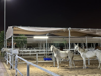 مستقر ريم - دبي - +971 50 101 0153
