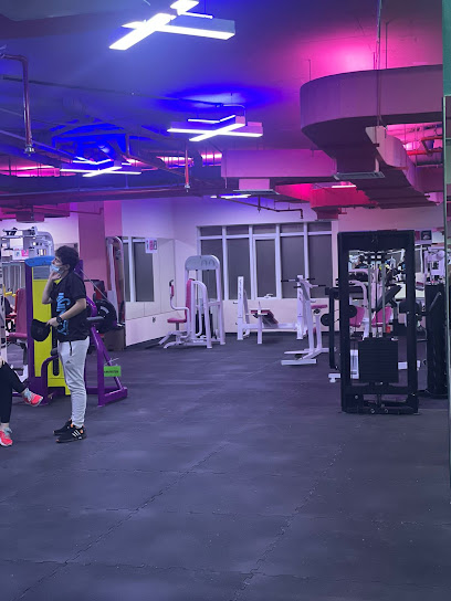 كروس فيت جيم للنساء - United Arab Emirates|Ajman|1 شارع الاتحاد|floor