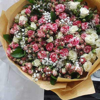 بلاك روز فلاور للتجارة - بلاك روز لتجارة الزهور - عجمان - +971 55 128 8377