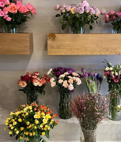 الحياة والازدهار - عجمان - +971 3 753 1562