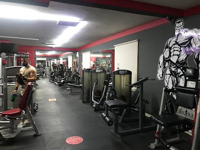ماكس لايف فتنس - العين - دبي - +971 55 677 5986