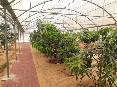 مربط عجمان - دبي - +971 6 769 2333