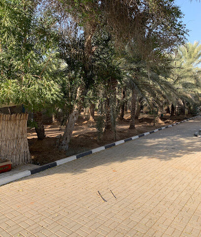 مزرعة محلية رأس الخيمة - عجمان - +971 52 884 3971