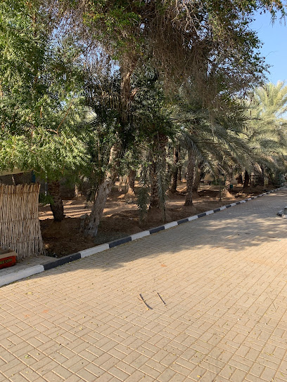 مزرعة محلية رأس الخيمة - United Arab Emirates|Ras Al-Khaimah|Unnamed Road|MX34+XRM