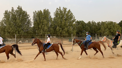 إسطبلات كادفور - عجمان - +971 50 156 1877