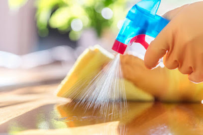 النجم الجميل لخدمات التنظيف ذ - دبي - +971 55 442 4887