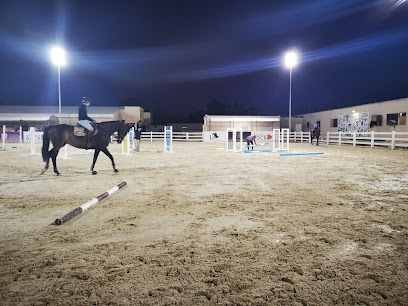اسطبلات الباهية اسطبلات الباهية لتعليم الفروسية - دبي - +971 50 669 9084