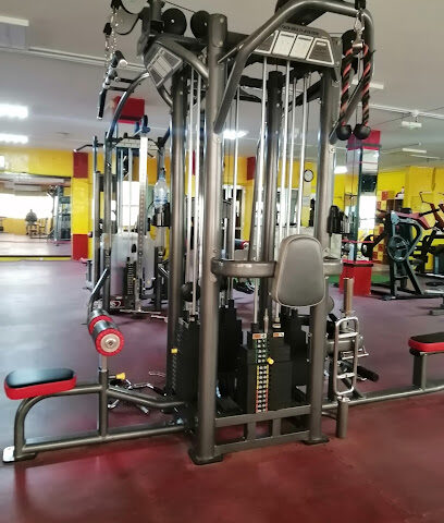 GOLDEN LOGO GYM (رجال وسيدات) - دبي - +971 6 572 2497