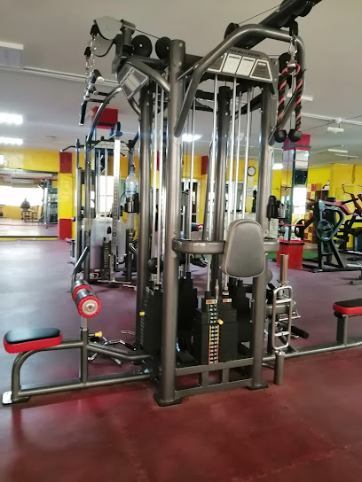 GOLDEN LOGO GYM (رجال وسيدات) - United Arab Emirates|Al Mareija - Sharjah|Mezzanine floor Al Arouba Street
