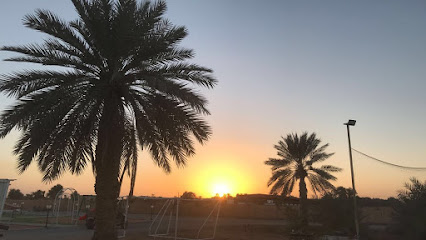 الريف الاخضر فارم (مزرعة الريف الخضراء) - عجمان - +971 55 661 3966