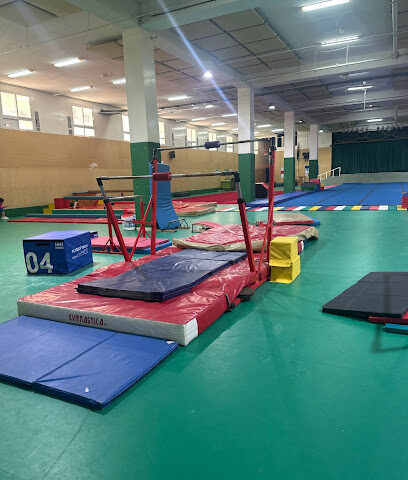 جمباز الأبطال - دبي - +971 52 795 2335