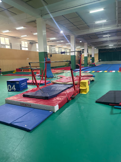جمباز الأبطال - United Arab Emirates|Abu Dhabi|Al Nahda International school for girls Gate 2