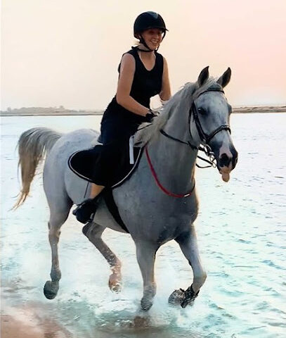 ركوب الخيل على الشاطئ والصحراء | أبو ظبي ودبي - دبي - +971 50 292 8456