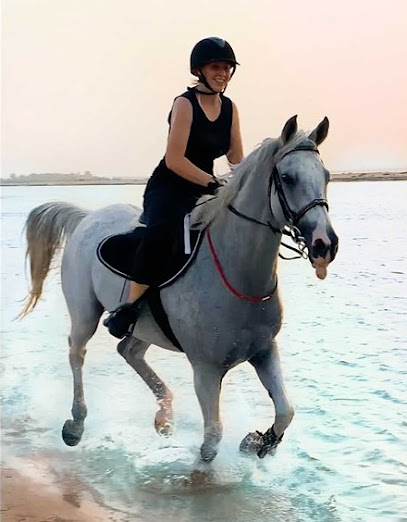ركوب الخيل على الشاطئ والصحراء | أبو ظبي ودبي - United Arab Emirates|Al Bahyah - Abu Dhabi|GMM7+HP