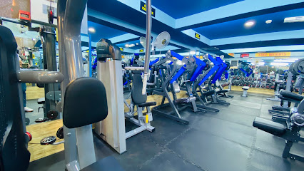 صالة بناء الجسم إمباور - دبي - +971 52 929 8576