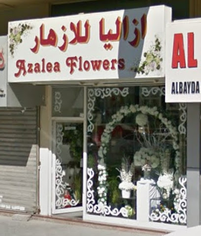 أزهار أزاليا - عجمان - +971 6 561 2125