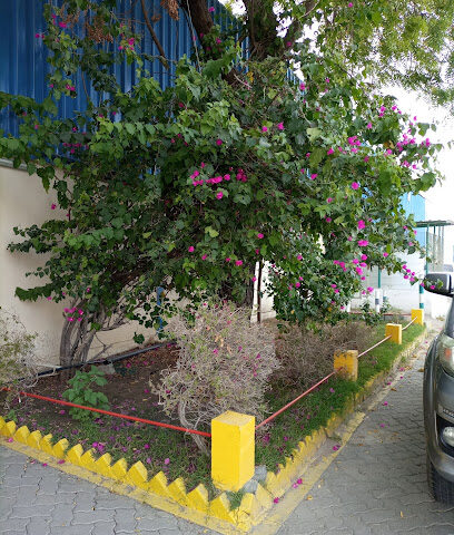 ريبل الهندسية المحدودة م.م.ح - عجمان - +971 9 228 1536