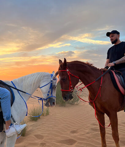 خيول الامارات - دبي - +971 54 442 1098
