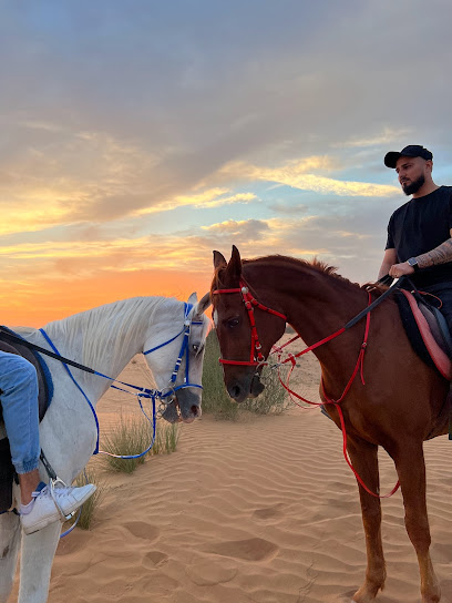 خيول الامارات - United Arab Emirates|Alzubair - Sharjah