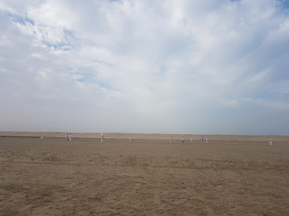 ملعب الكريكيت أم القيوين - دبي -