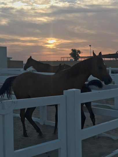 اسطبلات القبيسي - United Arab Emirates|Abu Dhabi|Unnamed Road|5QGJ+R25