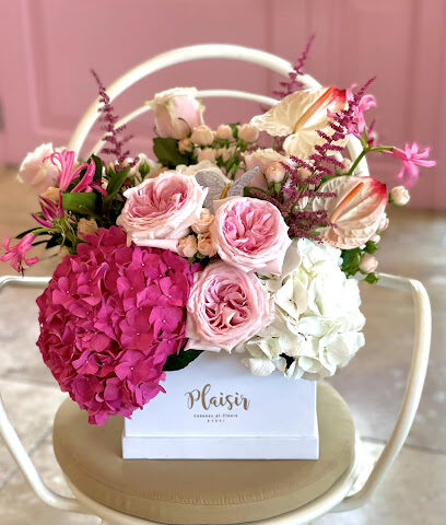 Plaisir Cadeaux et Fleurs | محل زهور | اطلب الزهور عبر الإنترنت - عجمان - +971 56 568 7373