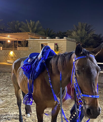 اسطبلات الشبهانة - دبي - +971 54 300 2559